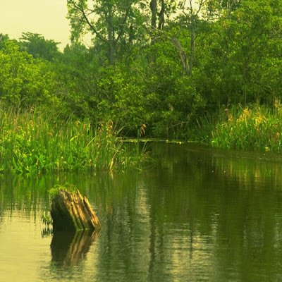 serviciosmaric1's profile picture. 