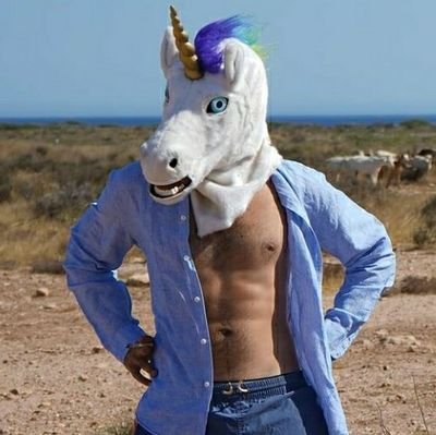 Fan de HARDCORE Speedcore Terrorcore Splittercore #unicornonketa fan