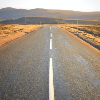 ms_c0ngeniality's profile picture. #Thehigherroad #Chickenandmushroom #Rock