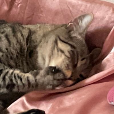Katieさんのプロフィール画像