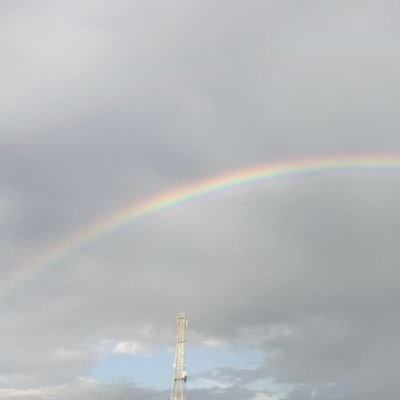 raghav94556072's profile picture. 