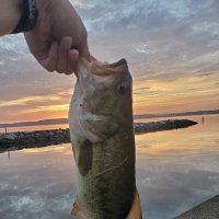 Tom (@tom75104513) 's Twitter Profile
