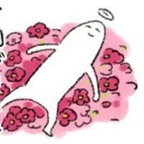 Acunさんのプロフィール画像