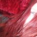 SCamoart (@camosuada) Twitter profile photo SCamoart (@camosuada) Twitter profile photo
