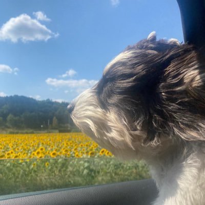 JuHinson's profile picture. 