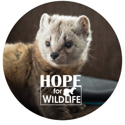 hopeforwildlife Profile Picture