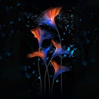 Crypto Boy (@cryptoboy_ss) 's Twitter Profile