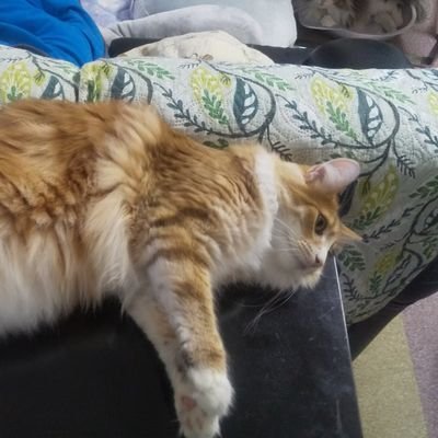 z17J5BiEmJJeUZY's profile picture. 駆け出しのクラウドエンジニア、AWSの構築を主にやってます～
FXではゴールドトレードがメイン。
ましろさんの動画で勉強しNY市場のみでトレードしてます。
趣味は筋トレ、登山、スキューバ、読書、散歩、旅行、フェス。
好きなものは猫と日本酒です。