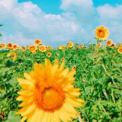 0XKQvgC53cgHGZA's profile picture. 