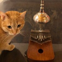 Kalimbisteto 🐈 Kiwi Kalimba 🥝(@KiwiKalimba) 's Twitter Profile Photo