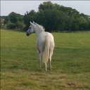 Joanna Williamson - @Jo_Williamson3 - Twitter