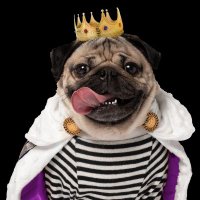 Ad tech OG (@adtech_og) 's Twitter Profile