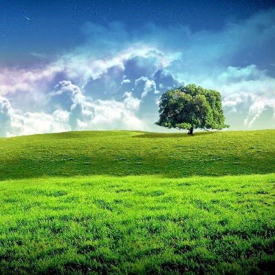 🖌️🎮 Digital Artist & Gamer | NFT Lover | Creating Masterpieces in Art & Games | Exploring Virtual Realms | Where Art & Games Collide!