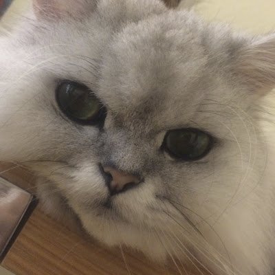 jYrVQsxHXKjiWL4's profile picture. 