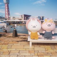 えびな (@pikapocha03) 's Twitter Profile