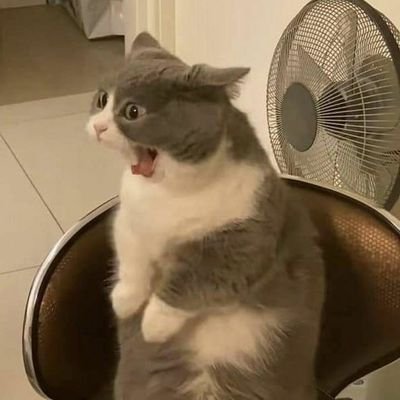 Ms Ren's petさんのプロフィール画像