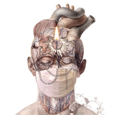 Luiz_Eduardo_Ok's profile picture. 