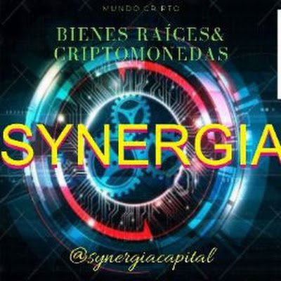 synergiacapitalinvestment es una empresa que conjuga el RealState y el mundo infinito de las Criptomonedas.Brinda información en la compraventa de Prop y cripto