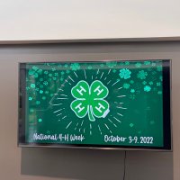 Tennessee 4-H (@tennessee4h) 's Twitter Profile