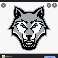 Ridgeview Wolfpack Volleyball (@packvolley) 's Twitter Profile Photo