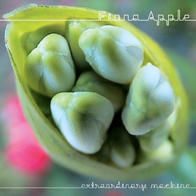 lyrics from fiona apple's album 