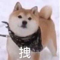 段段段小庄 (@ddddc_nullo) 's Twitter Profile