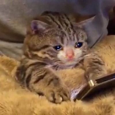 ellisuta's profile picture. 20↑• 🇨🇳🇺🇲