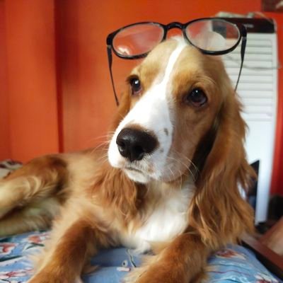 Pujashahi3's profile picture. just smile n smell good😊😊