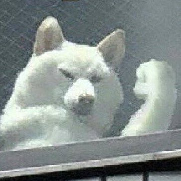 evil_jello's profile picture. 