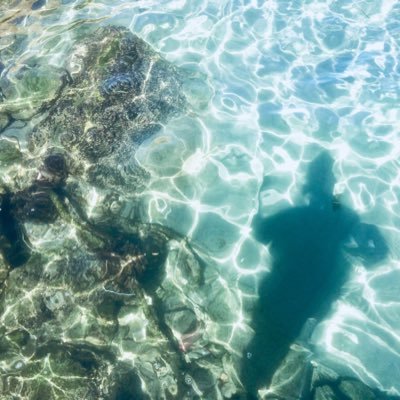 AAbuarwis's profile picture. قال شيخنا اﻻلباني رحمه الله:"طريق الله طويل ونحن نمضي فيه كالسلحفاه وليس الغايه ان تصل لنهاية الطريق ولكن الغايه ان تموت على الطريق".🇱🇾🇸🇦