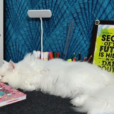 TNJ300798's profile picture. Bakchodi is in my blood, some chutiyapa too