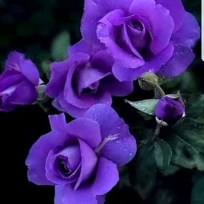 Bonjour.
Ami amie j'adore discussion amicale et change des bonne aidée et des conseils
Je aime le. Travailler et la science je crois ou dieux et a la amour e