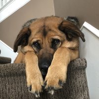 ella sikorski (@ellasikorski12) 's Twitter Profile