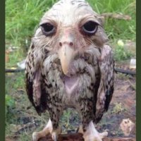 tolga ceyhan (@tceyhan34) Twitter profile photo