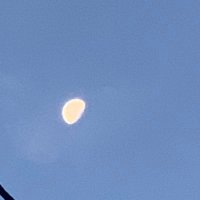 だいき (@jmtpjtgm) 's Twitter Profile