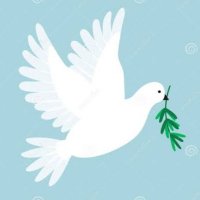 Sujata Sayed (@sayedsujata) 's Twitter Profile