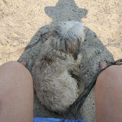 Sydney_Mc's profile picture. Happily retired so cant be threatened. I will say what I want.