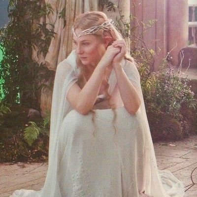 standing up to homophobes one 'whos tolkien' at a time || no.1 galadriel stan (certified, real)