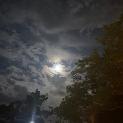 OnTheBeachAgain's profile picture. On the scene for Asbury Park night life. What a wild world it is!