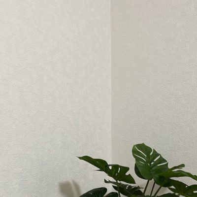 はとるさんのプロフィール画像