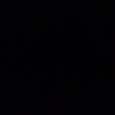 Payzer Mulet Profile