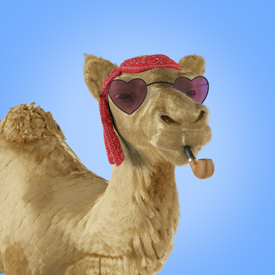 Camel Club: 3D | Launching Soon 🐪