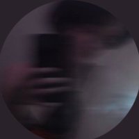 Gray (@beeslvts2) 's Twitter Profile