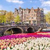 634264840066467's profile picture. 