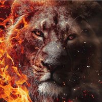 Lion of Jah in the space (@04102009_) 's Twitter Profile