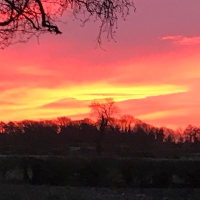 Sprayer and combine operator for ALBANWISE FARMING LTD. Loving my job and my life#happy farmer. Divorced,father of two amazing kids. All views are my own.