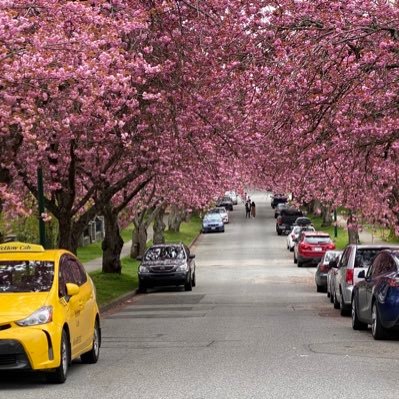 SpringL25653667's profile picture. 