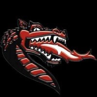 Kingsway Dragons Youth Football (@youth_dragons) 's Twitter Profile