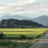 まいせるふのアイコン