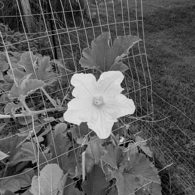 boyd_owens's profile picture. None added